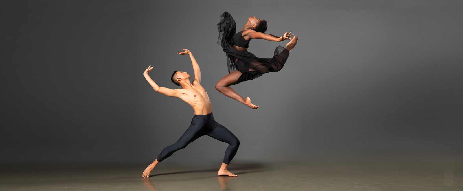 AileyII_1600x660B