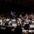 RotterdamPhil_400x400