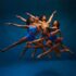 Ailey_400x400D