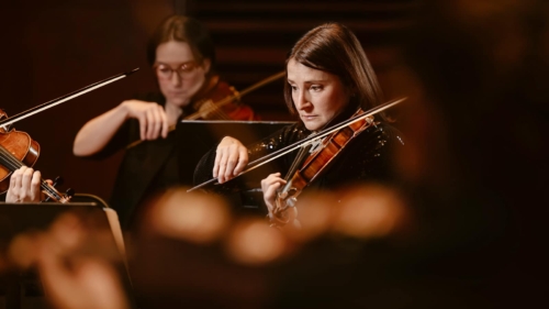 LesViolons_1600x900-10