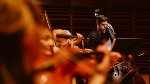 LesViolons_1600x900-11