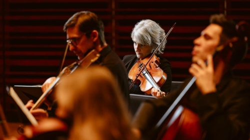 LesViolons_1600x900-12