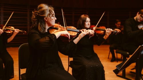 LesViolons_1600x900-13