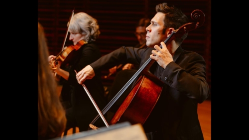 LesViolons_1600x900-9